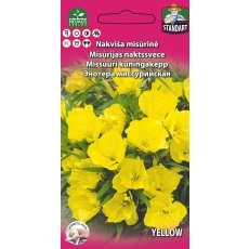 ZUM internetveikals: Sēklas naktssveces dzeltenās ilggadīgās 0.2g