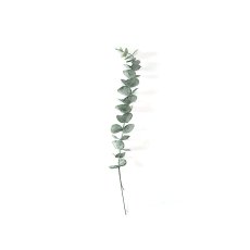 ArtFlow Mākslīgais Eikalipts 45cm, zaļš
